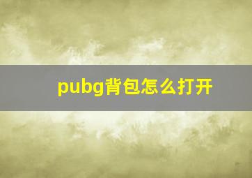 pubg背包怎么打开