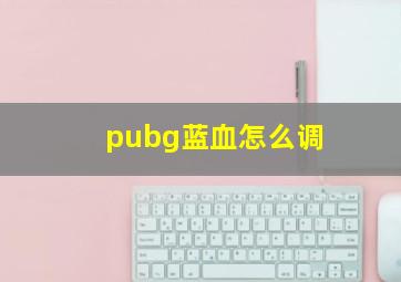 pubg蓝血怎么调