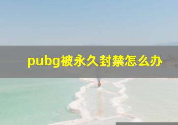 pubg被永久封禁怎么办