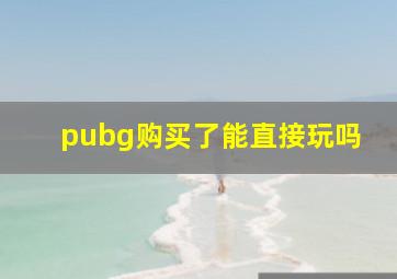 pubg购买了能直接玩吗