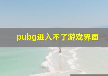 pubg进入不了游戏界面