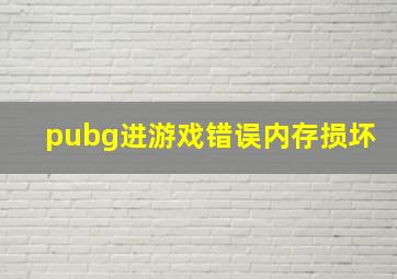 pubg进游戏错误内存损坏