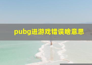 pubg进游戏错误啥意思