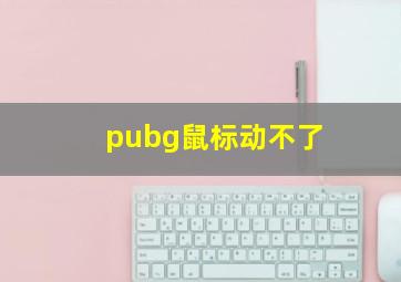 pubg鼠标动不了