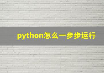 python怎么一步步运行