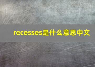 recesses是什么意思中文