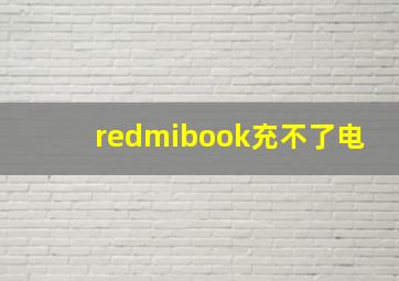 redmibook充不了电