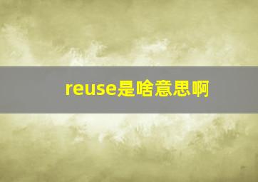 reuse是啥意思啊