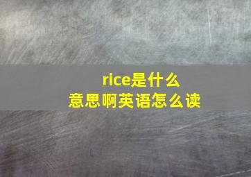 rice是什么意思啊英语怎么读