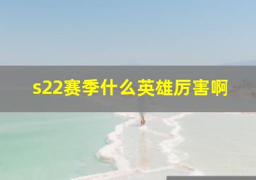 s22赛季什么英雄厉害啊