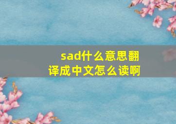 sad什么意思翻译成中文怎么读啊