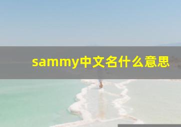 sammy中文名什么意思