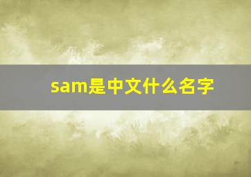 sam是中文什么名字