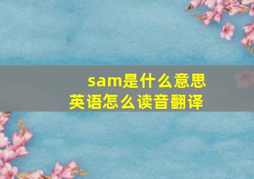 sam是什么意思英语怎么读音翻译