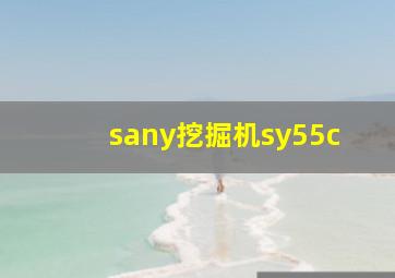 sany挖掘机sy55c