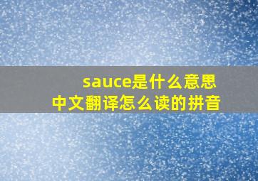 sauce是什么意思中文翻译怎么读的拼音