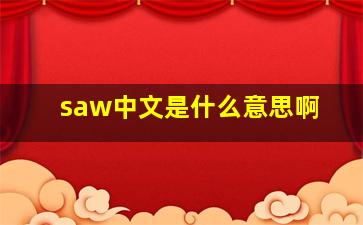 saw中文是什么意思啊