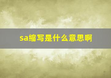 sa缩写是什么意思啊