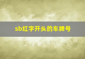 sb红字开头的车牌号