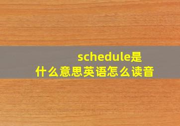 schedule是什么意思英语怎么读音