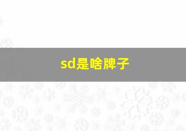 sd是啥牌子