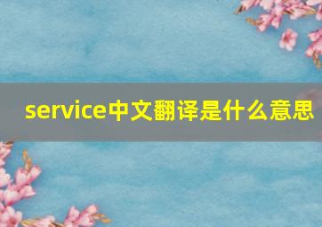 service中文翻译是什么意思