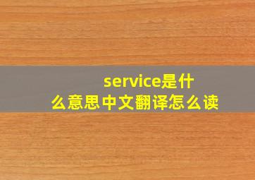 service是什么意思中文翻译怎么读