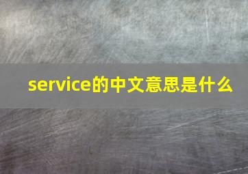 service的中文意思是什么