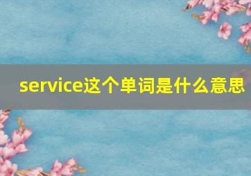 service这个单词是什么意思