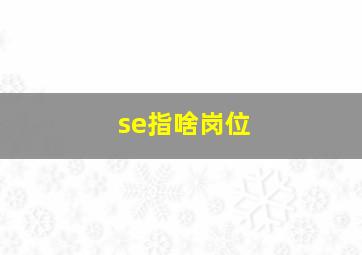 se指啥岗位