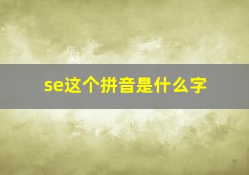 se这个拼音是什么字