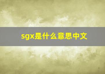 sgx是什么意思中文