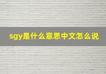 sgy是什么意思中文怎么说