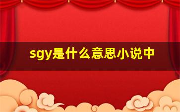 sgy是什么意思小说中