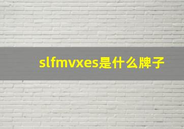 slfmvxes是什么牌子