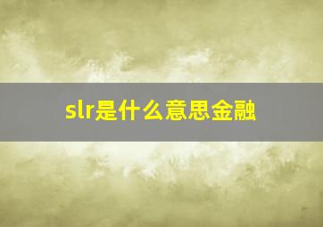 slr是什么意思金融