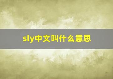 sly中文叫什么意思