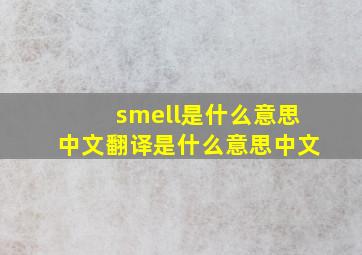 smell是什么意思中文翻译是什么意思中文