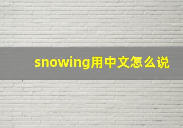 snowing用中文怎么说