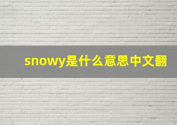 snowy是什么意思中文翻