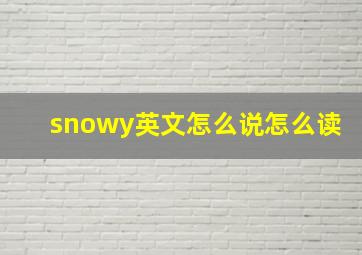 snowy英文怎么说怎么读