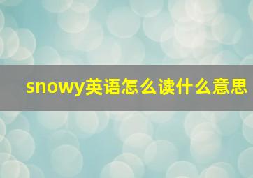 snowy英语怎么读什么意思