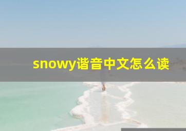 snowy谐音中文怎么读