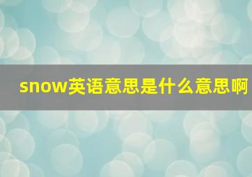 snow英语意思是什么意思啊