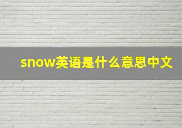 snow英语是什么意思中文