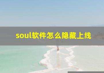 soul软件怎么隐藏上线