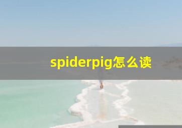 spiderpig怎么读