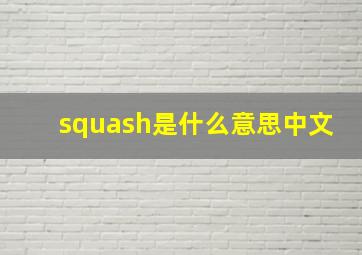 squash是什么意思中文