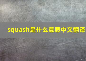 squash是什么意思中文翻译