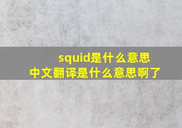 squid是什么意思中文翻译是什么意思啊了